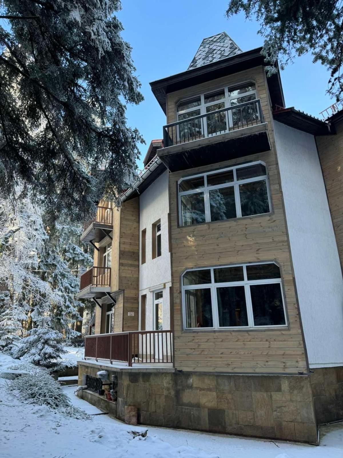 The Forest Villa Borovets Exteriör bild