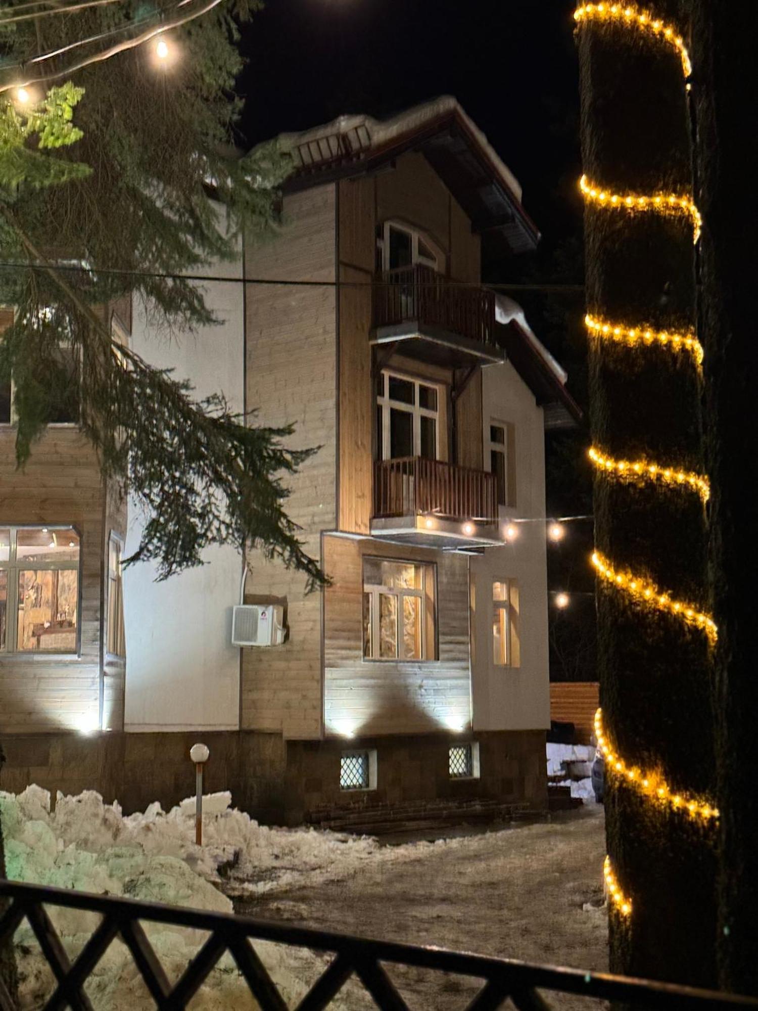 The Forest Villa Borovets Exteriör bild