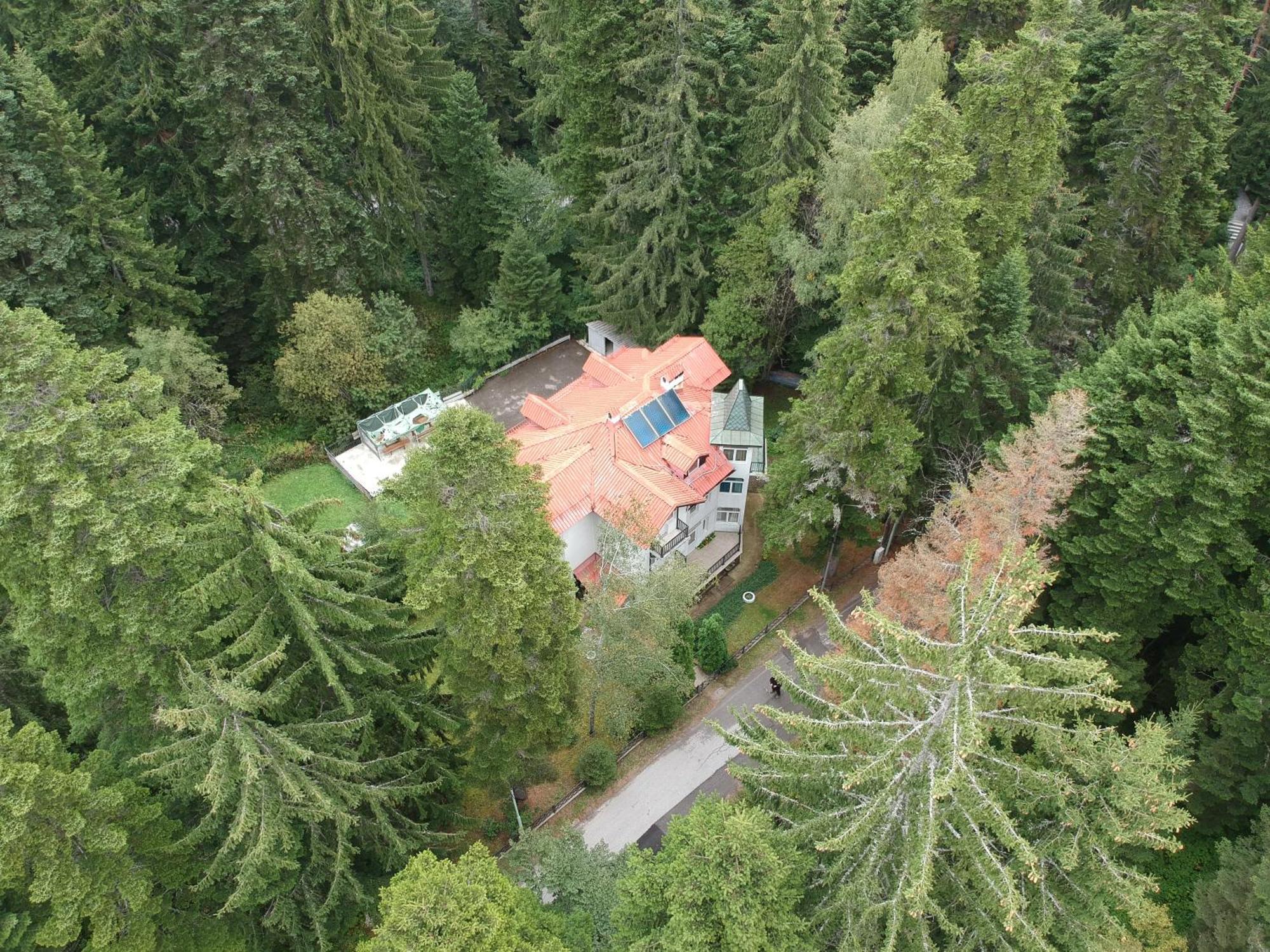 The Forest Villa Borovets Exteriör bild
