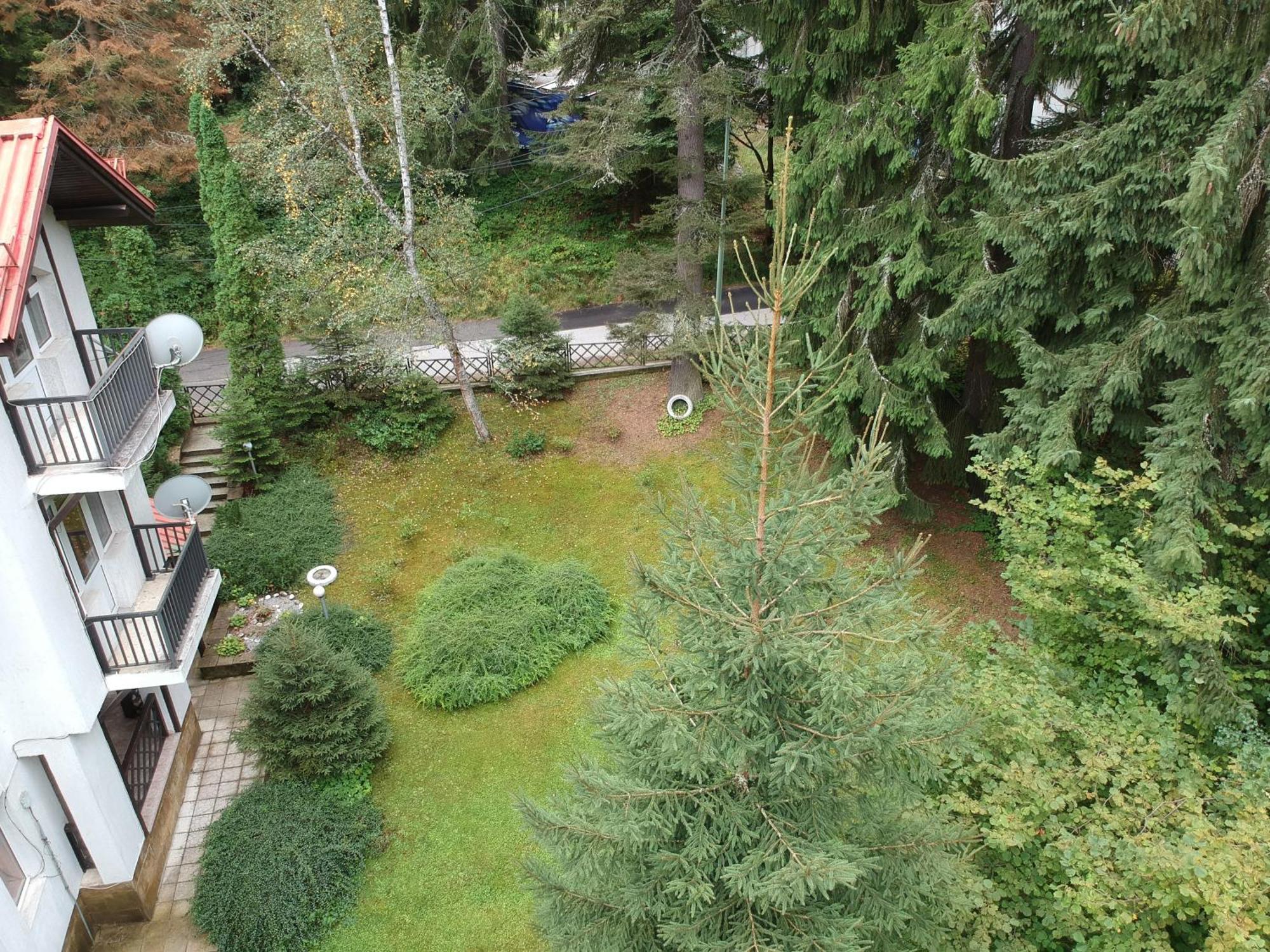 The Forest Villa Borovets Exteriör bild