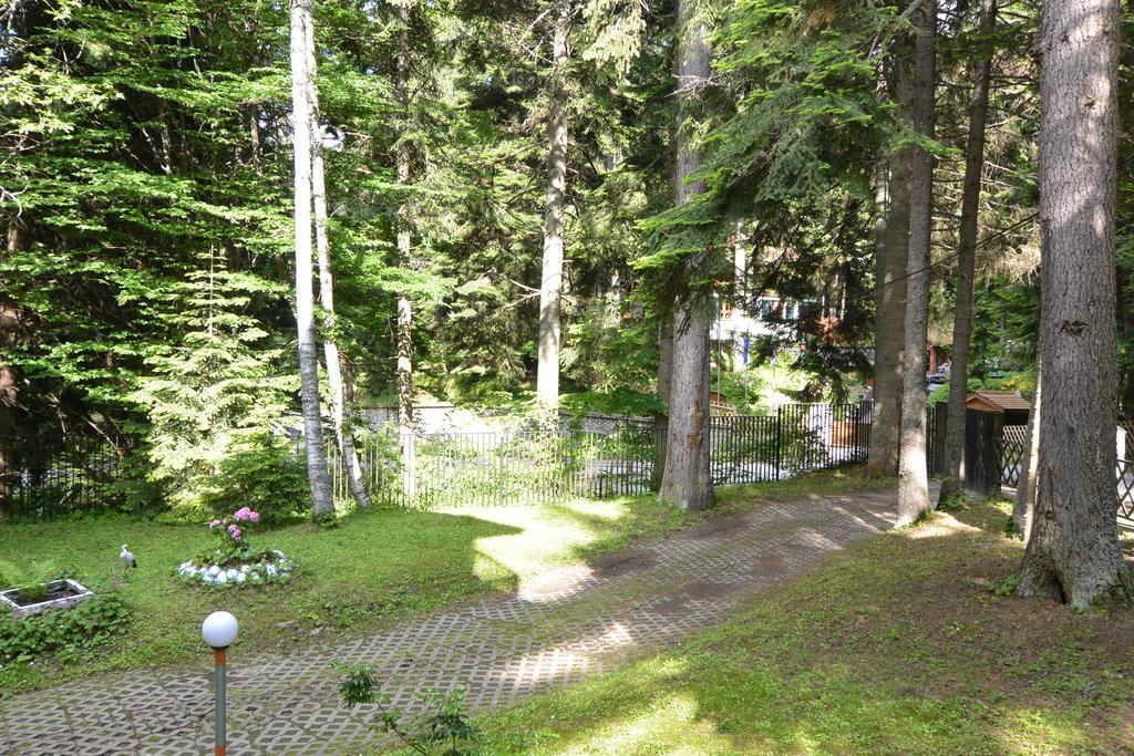 The Forest Villa Borovets Exteriör bild